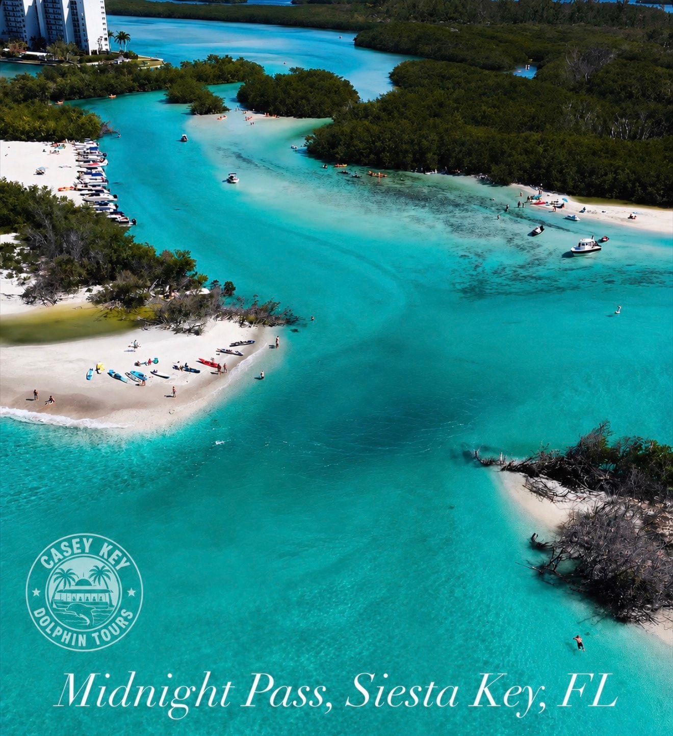 Midnight Pass sandbar tour